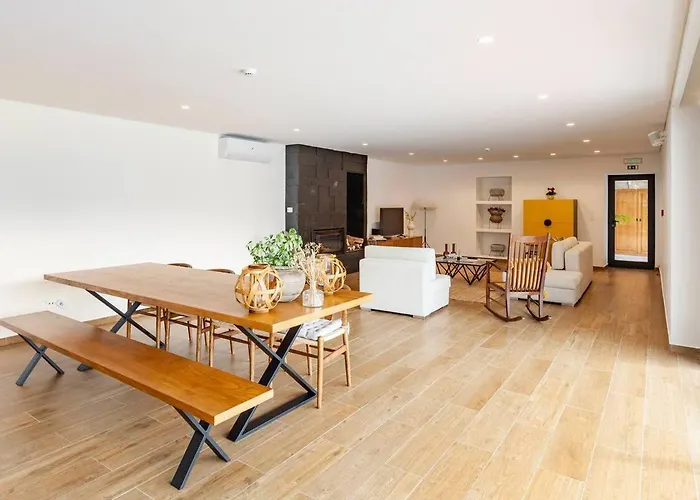 Casa Vieira Lobo Feriehus Arouca